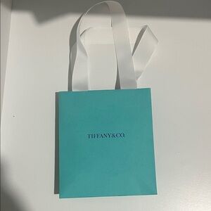 Tiffany & Co. Turquoise Bag with White Ribbon